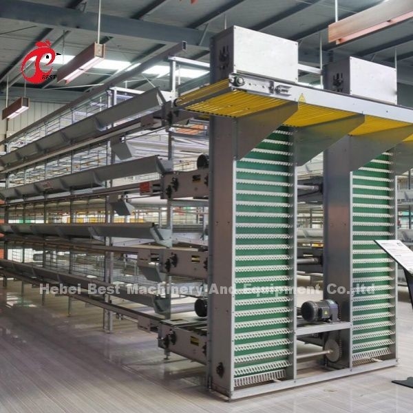 Modułowy system klatki drobiowej dla gospodarstw warstwowych Gorąco pogrzebanego galwanizowanego klatki baterii pojemność 96-200 ptaki piaskowe