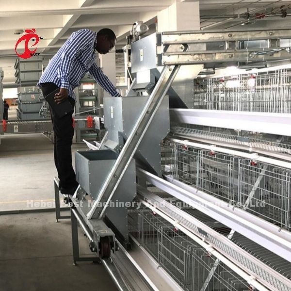 System klatki bateryjnej najwyższej warstwy dla hodowli kurczaków 96-200 Ptaki