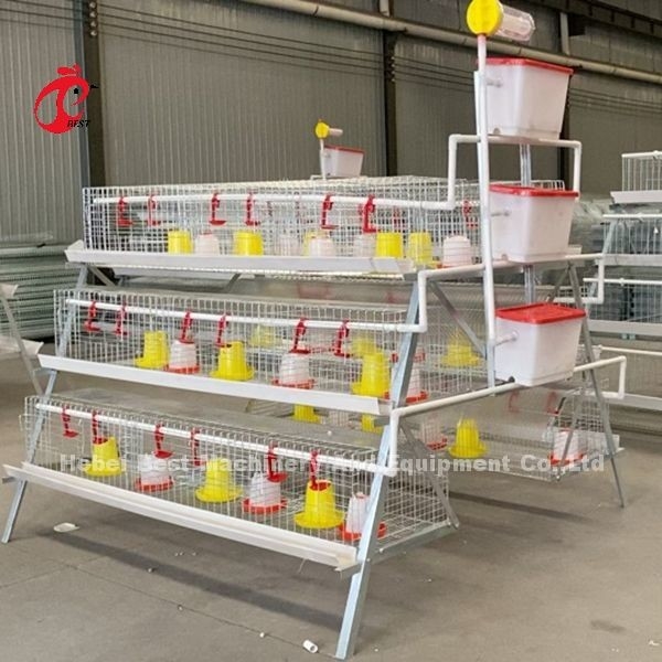 Premium Poultry Farm A Type Pullet Chicken Cage Battery Klatka dla kurczaków Iris