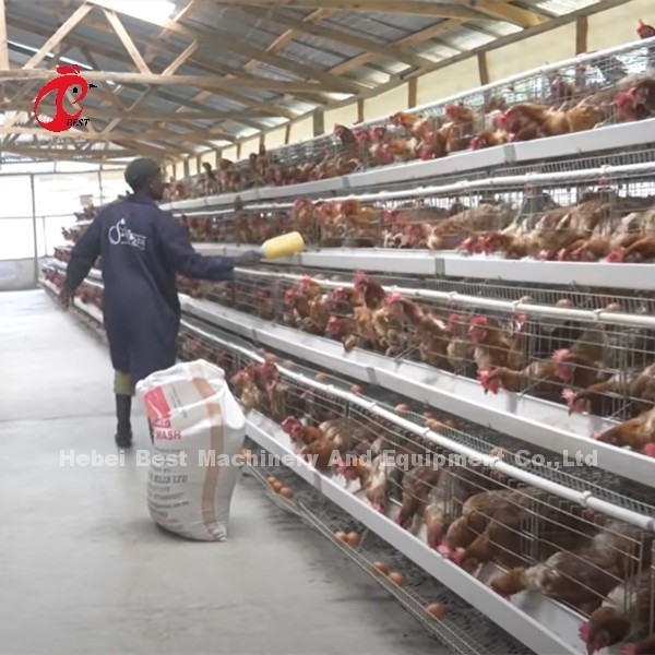 Chiny Importowana klatka bateryjna z kurczakiem powlekanym ISO9001, system warstwowych klatek dla kurczaków 4-drzwiowy Sandy