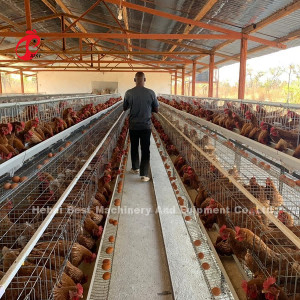 Uganda 4 poziomy klatka dla drobiu na sprzedaż Farm Chicken 100 KG Mia