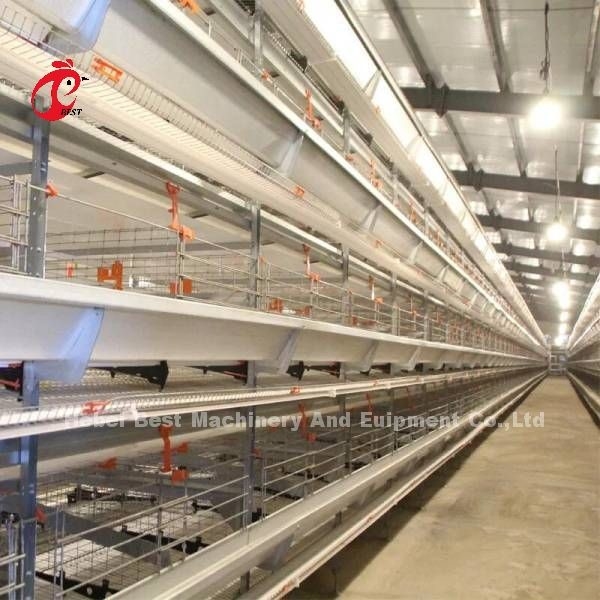 W pełni automatyczna klatka na baterie Cena w Nigerii Warstwa typu H Mia