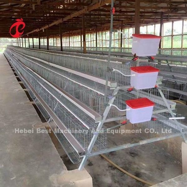 Komercyjny system klatek na baterie kurczaka 2,0 m * 2,0 m * 1,45 m W Nigerii Star