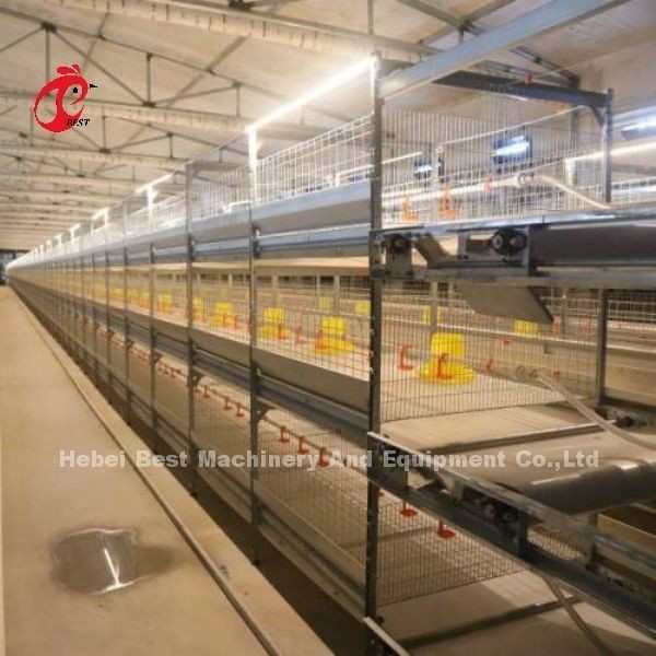 H Type Brojler Chicken Cage CE, w pełni automatyczny sprzęt do klatek dla brojlerów Adela